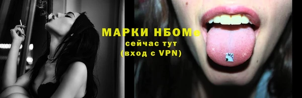 стафф Алексин