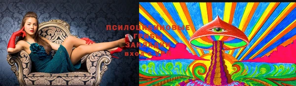 стафф Алексин